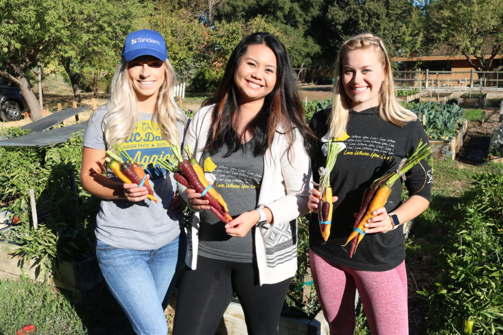 Our Roots Tandem Organic Farm in Davis Davis Apartments Tandem